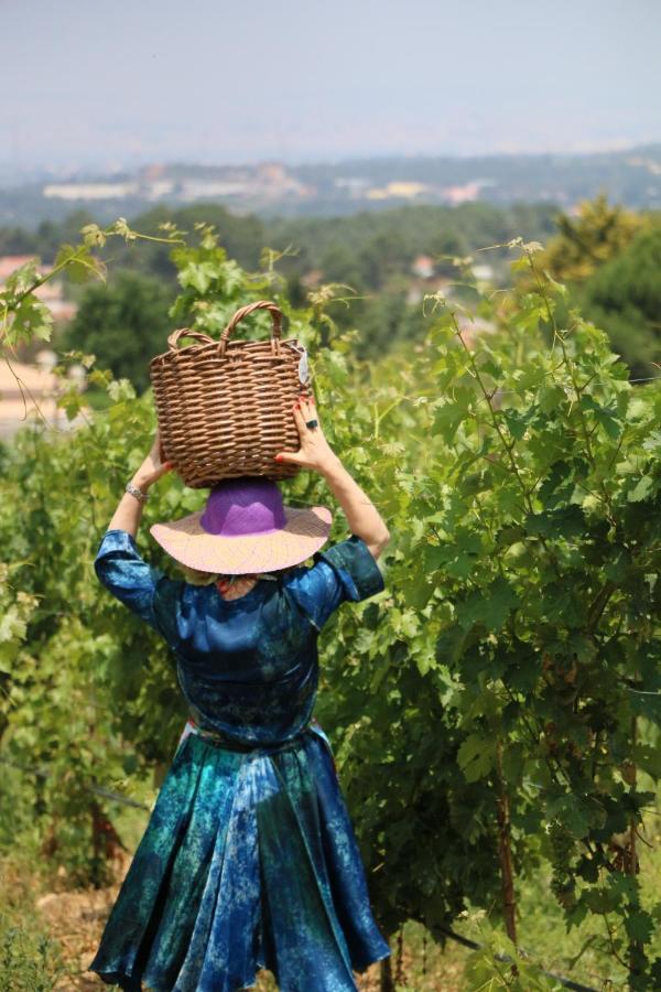 Quinta Da Chapeleira Em Azeitao Villa Dış mekan fotoğraf