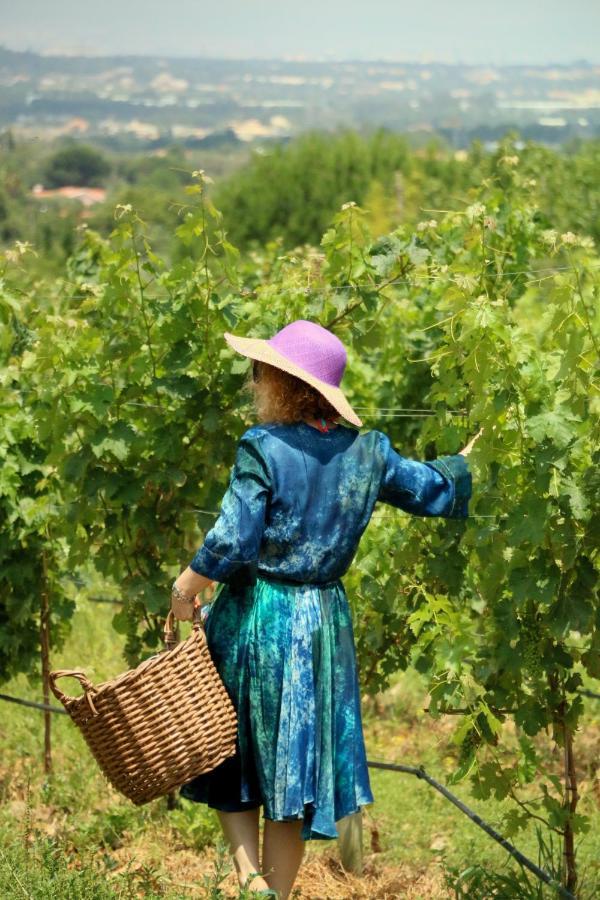 Quinta Da Chapeleira Em Azeitao Villa Dış mekan fotoğraf