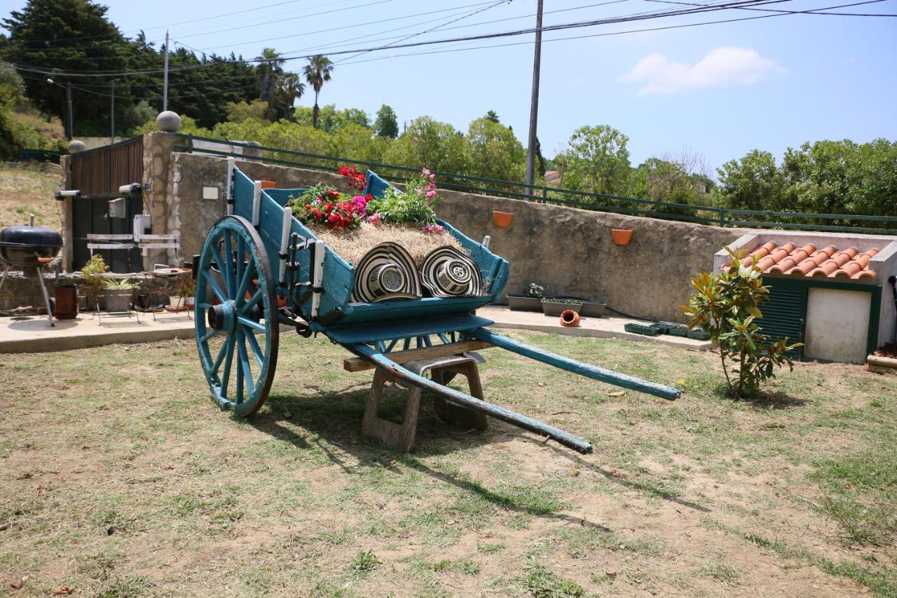 Quinta Da Chapeleira Em Azeitao Villa Dış mekan fotoğraf
