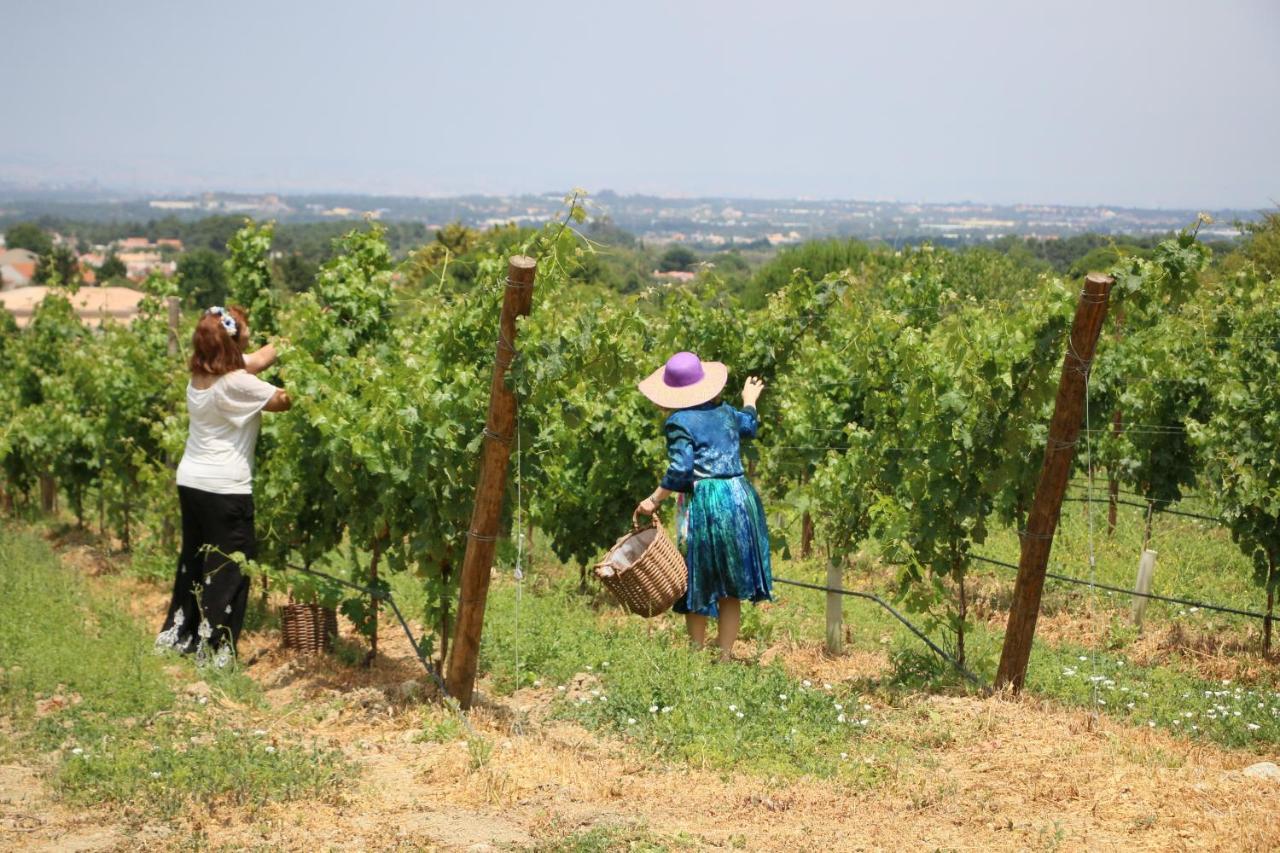 Quinta Da Chapeleira Em Azeitao Villa Dış mekan fotoğraf