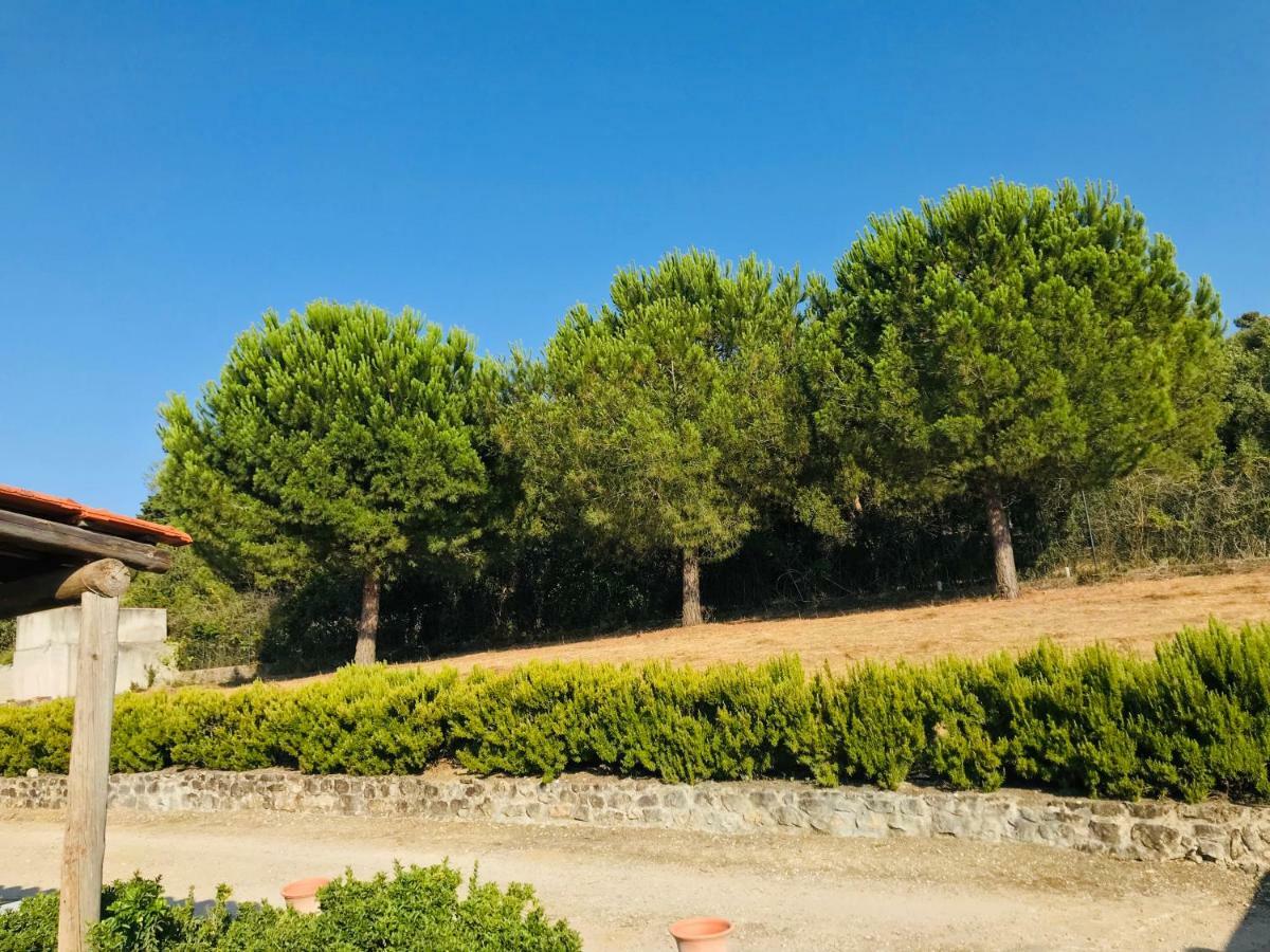 Quinta Da Chapeleira Em Azeitao Villa Dış mekan fotoğraf